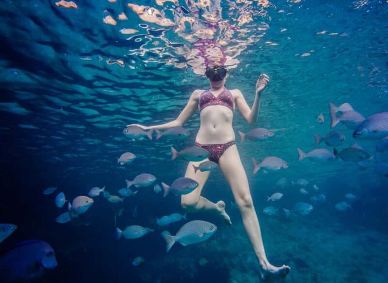 São Miguel: Santa Iria Bay Snorkeling Tour with Music - Who Should Consider This Tour?