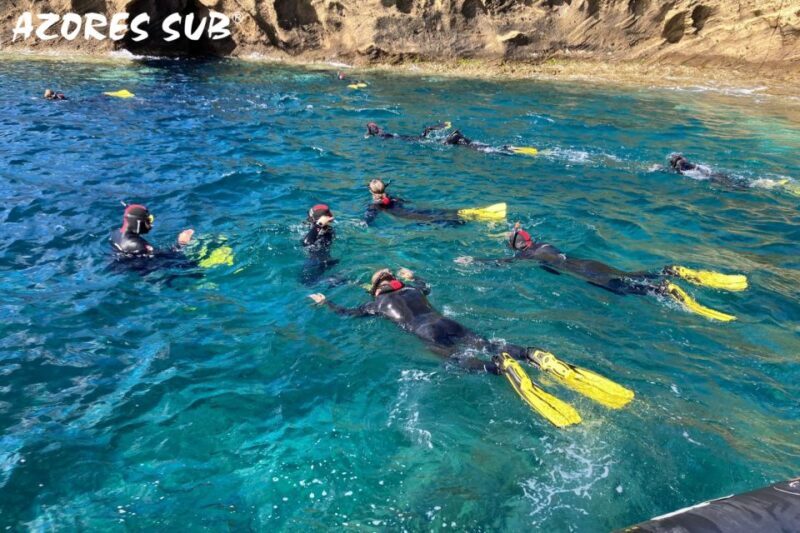 Sao Miguel: Snorkeling around Vila Franca do Campo - Key Points