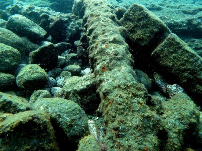 Sao Miguel: Snorkeling around Vila Franca do Campo - Equipment and Safety