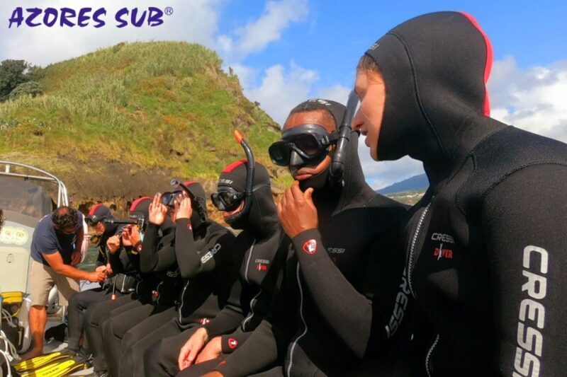 Sao Miguel: Snorkeling around Vila Franca do Campo - Price and Value