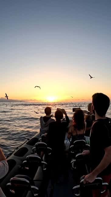São Miguel: Sunset Boat Tour  Golden Light, Cliffs & Caves - Key Points