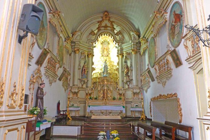 São Paulo 6-Hour Private City Tour - Who Should Book This Tour?