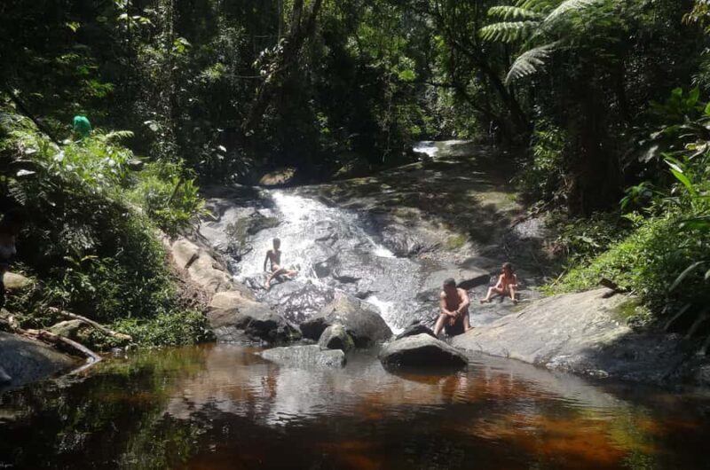 São Paulo: Cantareira Natural Park Guided Rainforest Hike - Who Should Consider This Tour?