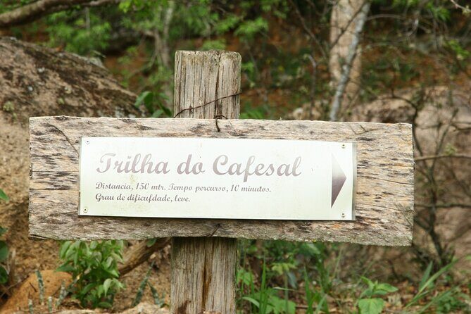 São Paulo Coffee Tour: Farm, Culture & Lunch Included  6h - Final Word