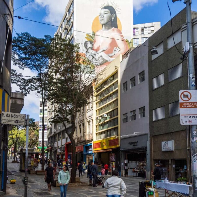 Sao Paulo: Downtown-Center Walking Tour | 2 Hours - English - The Breakdown of Highlights and Stops