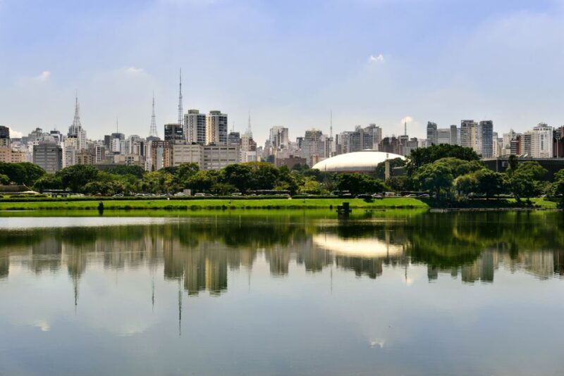 São Paulo: Full-Day Guided City Tour from the Port of Santos - Key Points