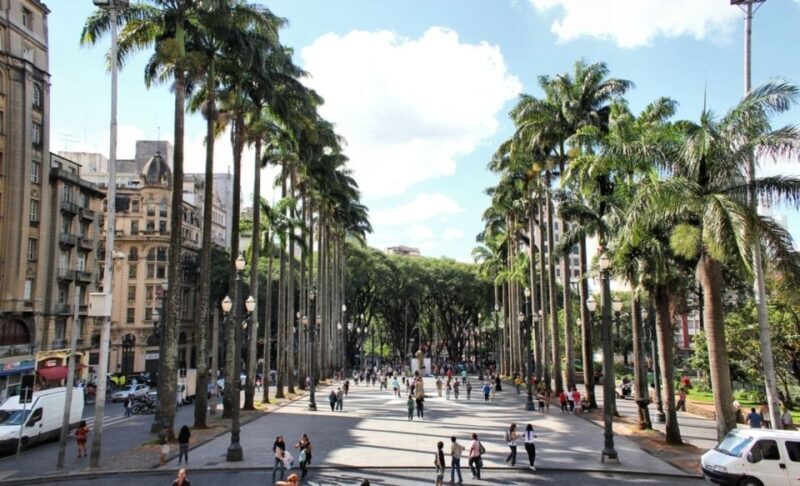 São Paulo: Full-Day Guided City Tour from the Port of Santos - Who Should Consider This Tour?