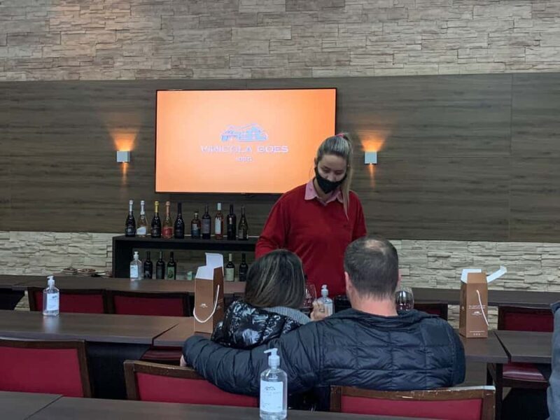 São Paulo: Full-Day Private Wine Tour in São Roque - Exploring São Paulo’s Countryside with a Full-Day Private Wine Tour in São Roque