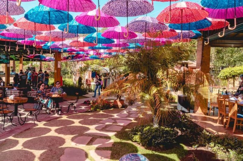 São Paulo: Full-Day Private Wine Tour in São Roque - Key Points