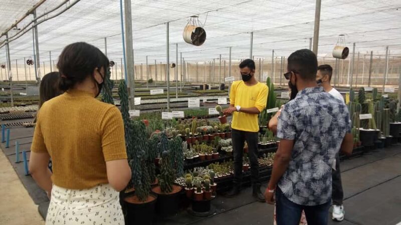 São Paulo: Holambra Colorful Flower Farm Guided Day Trip - Key Points