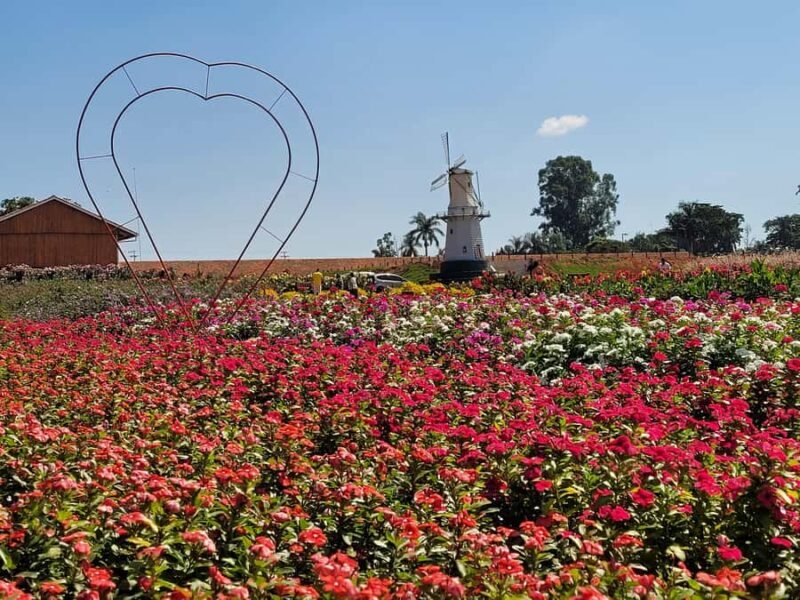 São Paulo: Holambra Colorful Flower Farm Guided Day Trip - FAQ