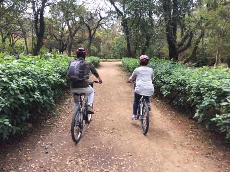 São Paulo: Street Art Bike Tour - Final Thoughts
