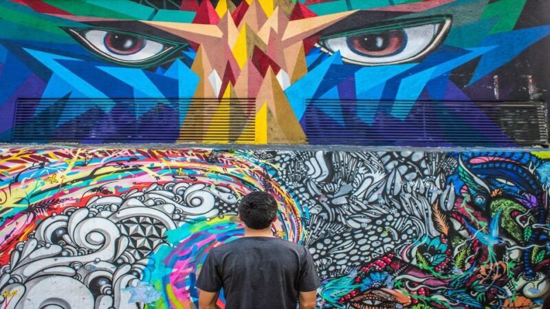 São Paulo: Street Art Private Tour - FAQs