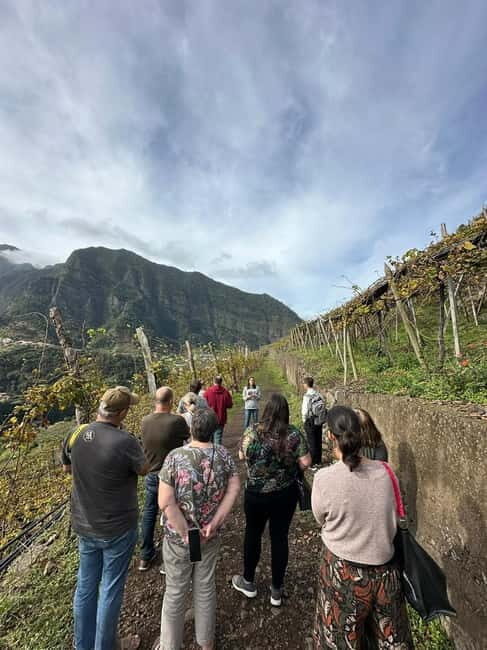 São Vicente Vineyard Visit With Traditional Lunch - Final Thoughts