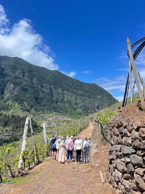 São Vicente Vineyard Visit With Traditional Lunch - FAQs