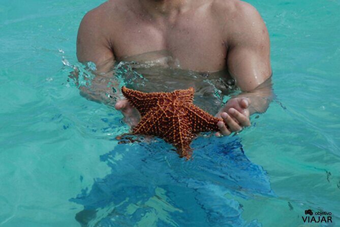 Saona Bayahibe Island Day Trip - The Experience in Detail