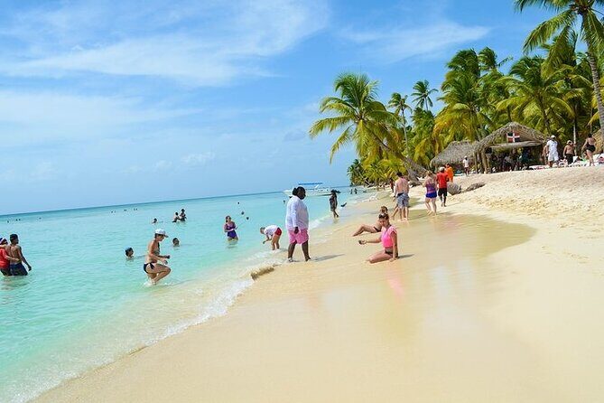 Saona Bayahibe Island Day Trip - The Detailed Experience: Exploring the Saona Bayahibe Island Day Trip