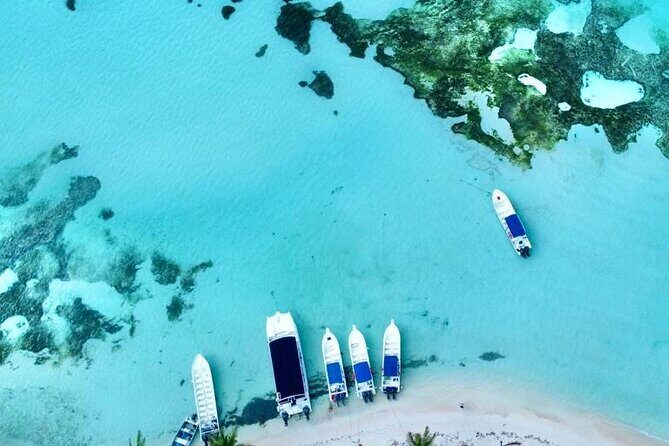 Saona by Speedboat: Private Beach & Snorkeling Small Group - FAQ: Your Questions About the Saona Speedboat Tour
