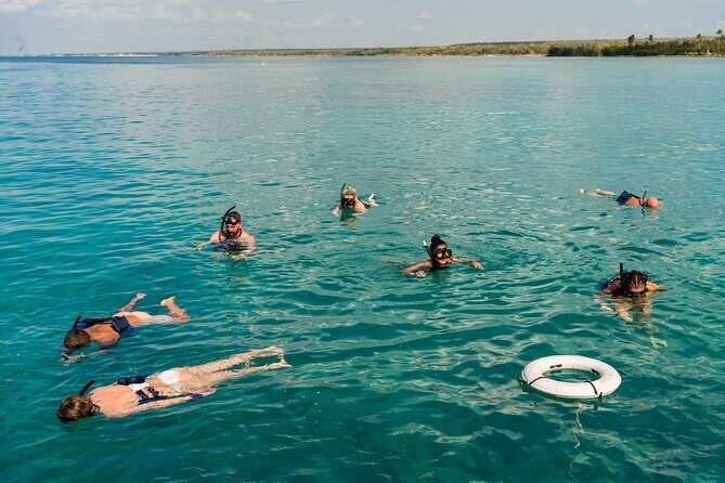 Saona full day with Food and drinks - Lunch and Refreshments: Tastes of the Dominican Republic