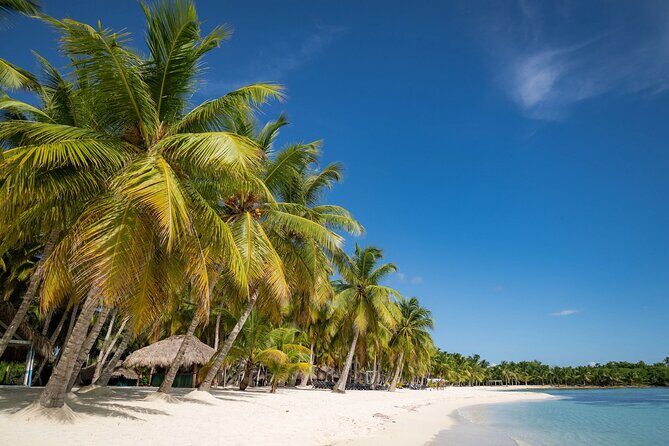 Saona in Punta Cana - A Deep Dive into the Saona Island Tour