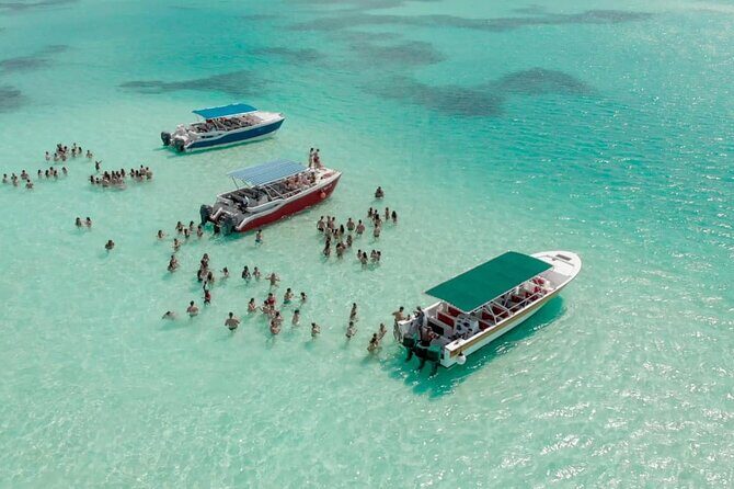 Saona Island Adventure From Punta Cana With Lunch and Transportation - Authenticity and Value