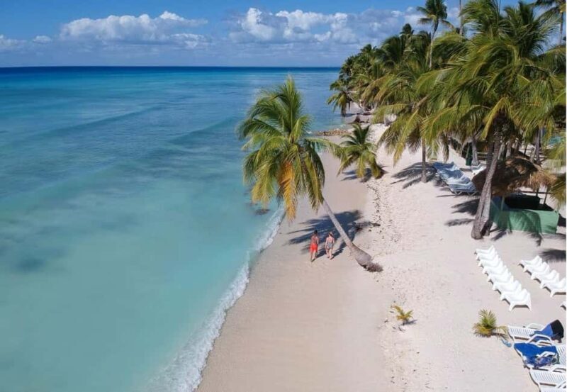 Saona Island all day with lunch and open bar departing from Punta Cana - What Travelers Are Saying