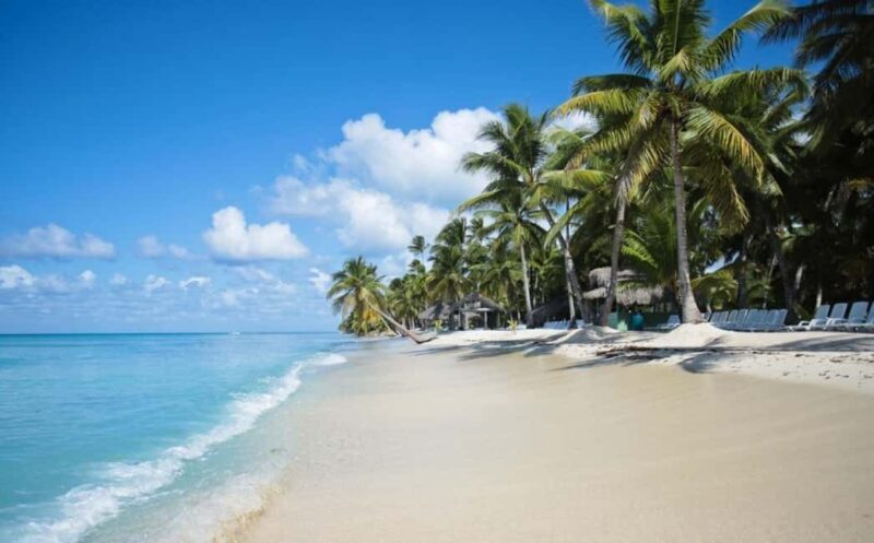 Saona Island all day with lunch and open bar departing from Punta Cana - The Practical Value and Considerations