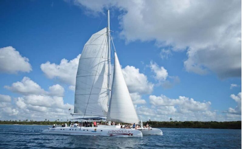 Saona Island all day with lunch and open bar departing from Punta Cana - Summary