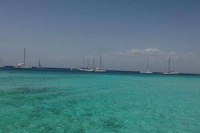 Saona Island All Inclusive Punta Cana - Authentic Experiences and Potential Drawbacks