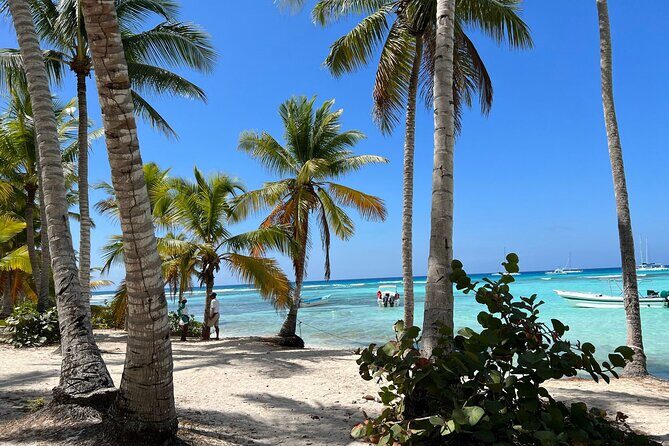 Saona Island and Chavon River Tour with Lunch and Drinks - Why This Tour Offers Good Value