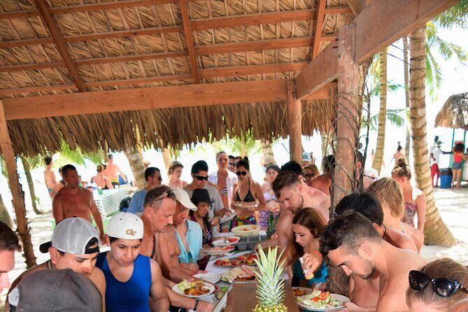 Saona Island Catamaran Adventure with Free Food and Transportation - Real Traveler Perspectives