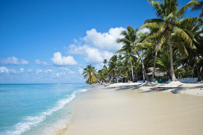 Saona Island Catamaran Cruise Experience (All Inclusive) - The Value of This Experience