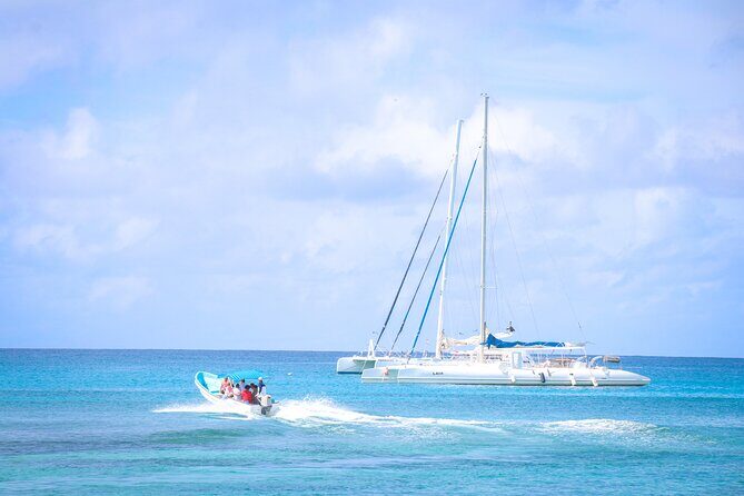 Saona Island Catamaran Tour Buffet & Open Bar from Punta Cana - Pricing and Value