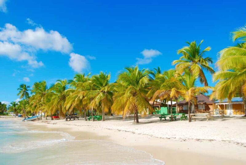 Saona Island & Chavon River Tour with Lunch & Drinks - Exploring the Full Itinerary