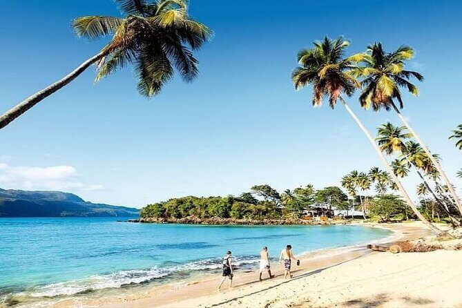 Saona Island Cruise & Private Beach - Key Points