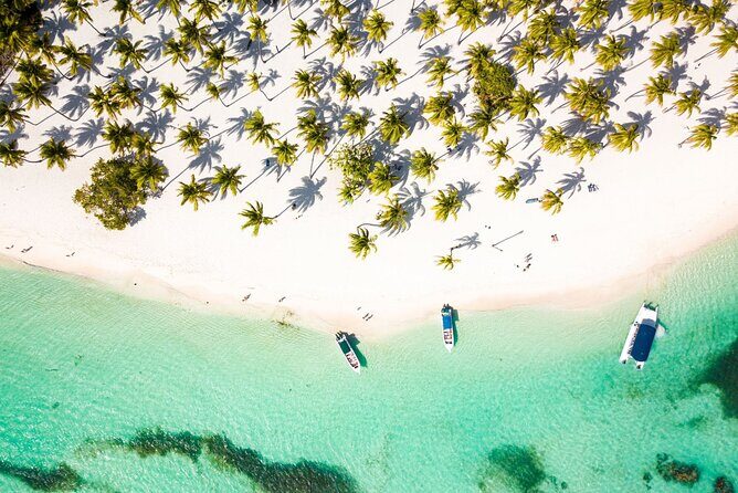 Saona Island Cruise & Private Beach - Authentic Feedback from Travelers