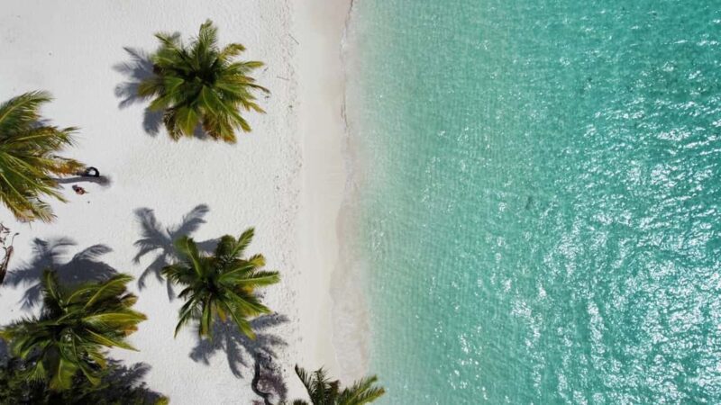 Saona Island Day for Marella Discovery (La Romana Port) - Key Points