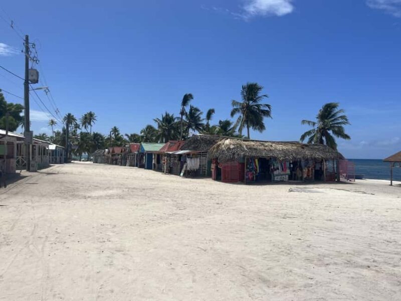 Saona Island Day for Marella Discovery (La Romana Port) - An in-depth look at this Saona Island tour experience