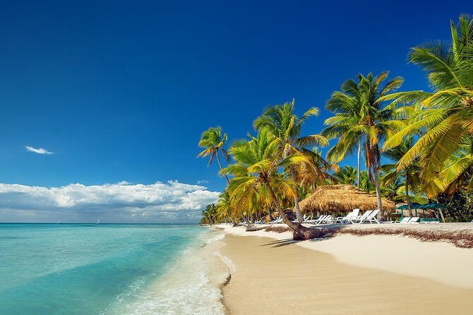 Saona Island Day Tour - An In-Depth Look at the Saona Island Day Tour