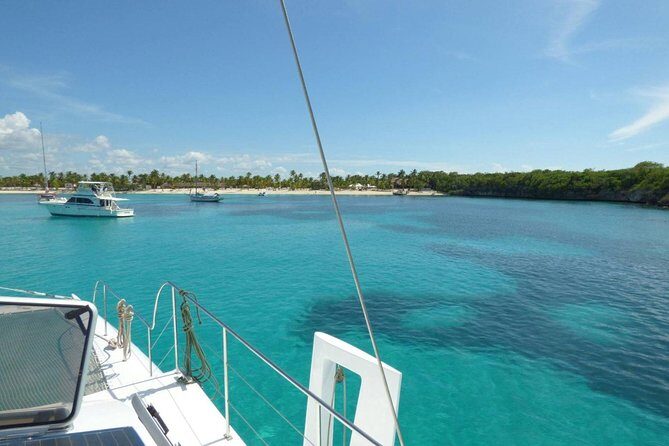 Saona Island Day Tour - Final Thoughts: Who Should Consider This Tour?