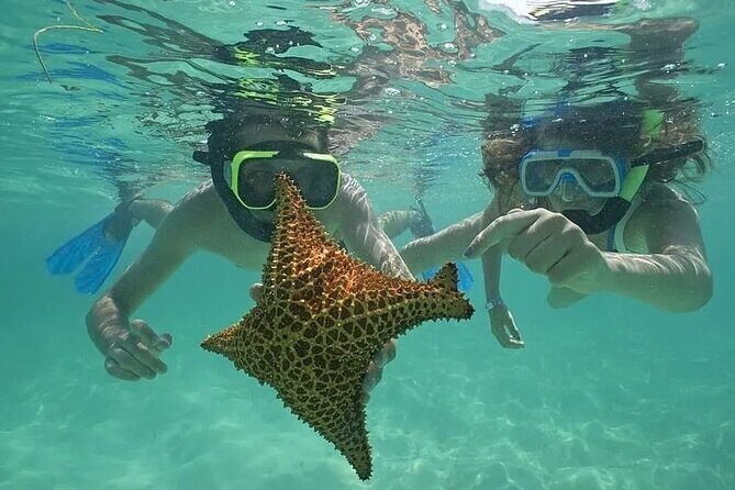 Saona Island Day Trip From Punta Cana with Lunch and Open Bar - Experience Overview