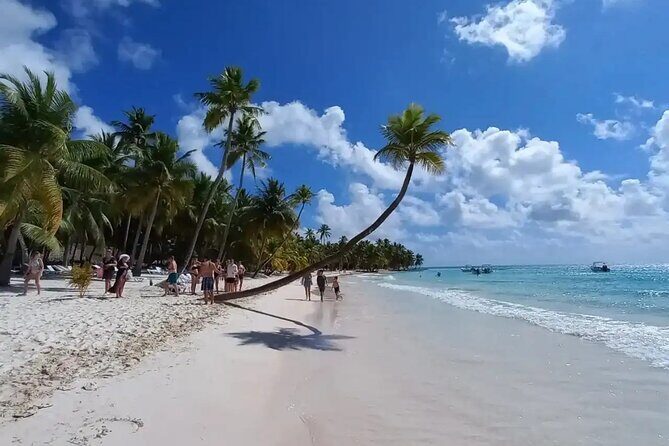 Saona Island Day Trip from Punta Cana with Lunch and Pickup - Final Thoughts: Is the Saona Island Day Trip Worth It?