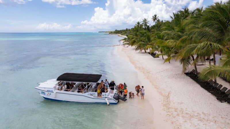 Saona Island Day Trip From Punta Cana with Lunch w/ Open Bar - Key Points