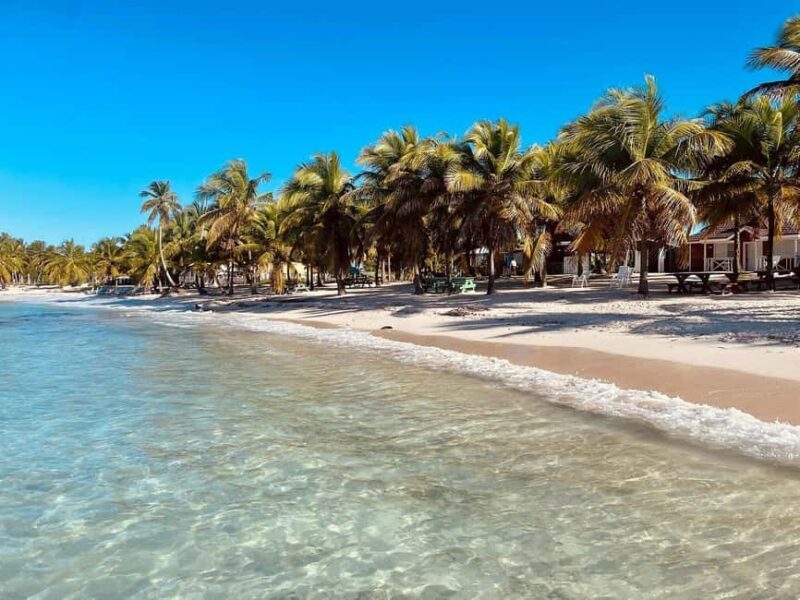 Saona Island Day Trip From Punta Cana with Lunch w/ Open Bar - Final Thoughts