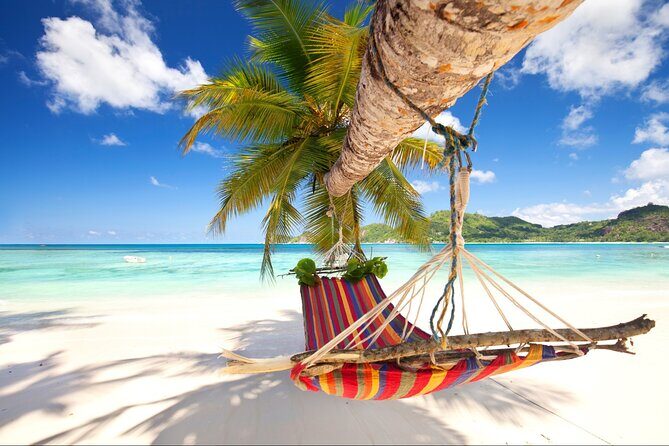 Saona Island Day Trip From Punta Cana with Pick Up and Open Bar - Experience the Charm of Saona Island from Punta Cana