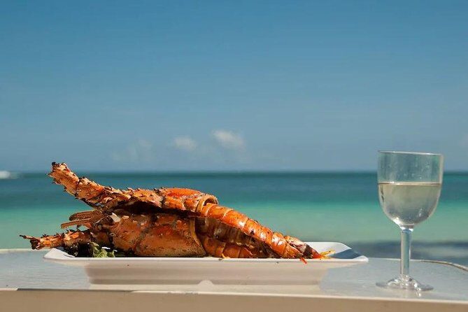 Saona Island Day Trip + Lobsters Included - An Overview of the Saona Island Day Trip