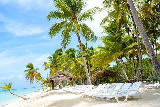 Saona Island Day Trip + Lobsters Included - Who Will Love This Tour?