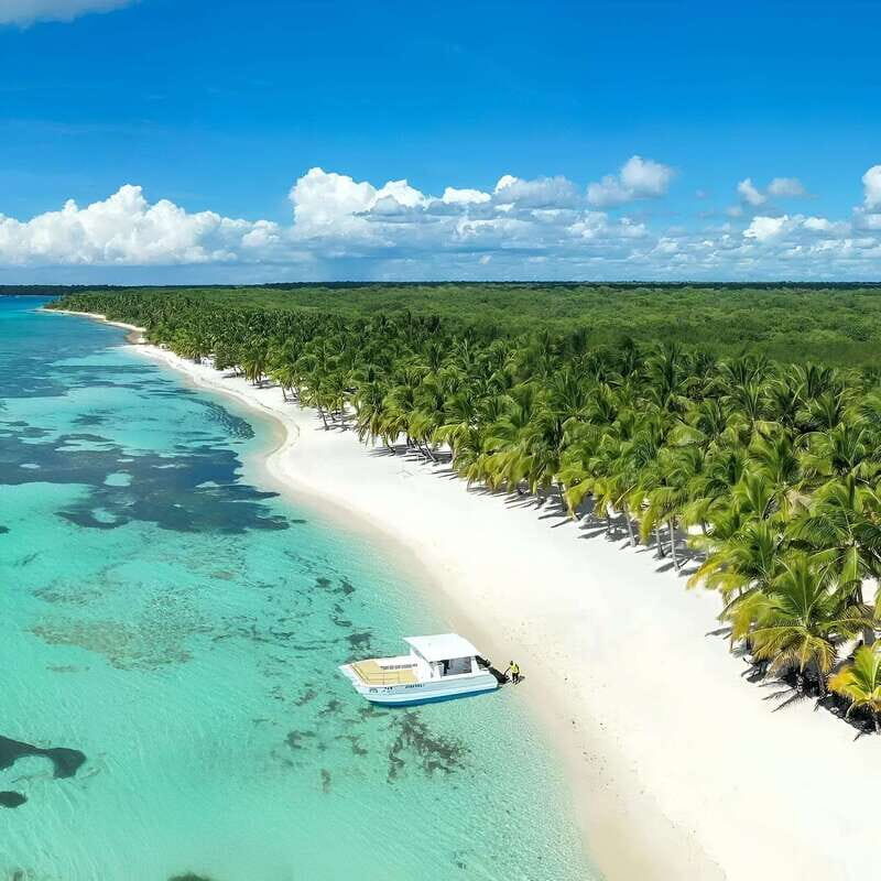 Saona Island Day Trip + Lunch + Open Bar from Punta Cana - An In-Depth Look at Saona Island Day Trip