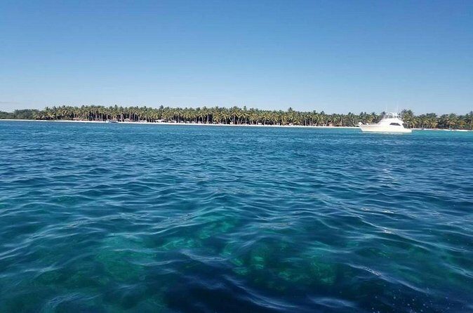 Saona Island Day Trip with Lobsters Included in Bayahibe - The Sum Up: Is This Tour Right for You?