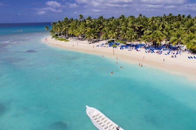 Saona Island Day trip with lunch and transport included. - A Deep Dive Into the Saona Island Experience